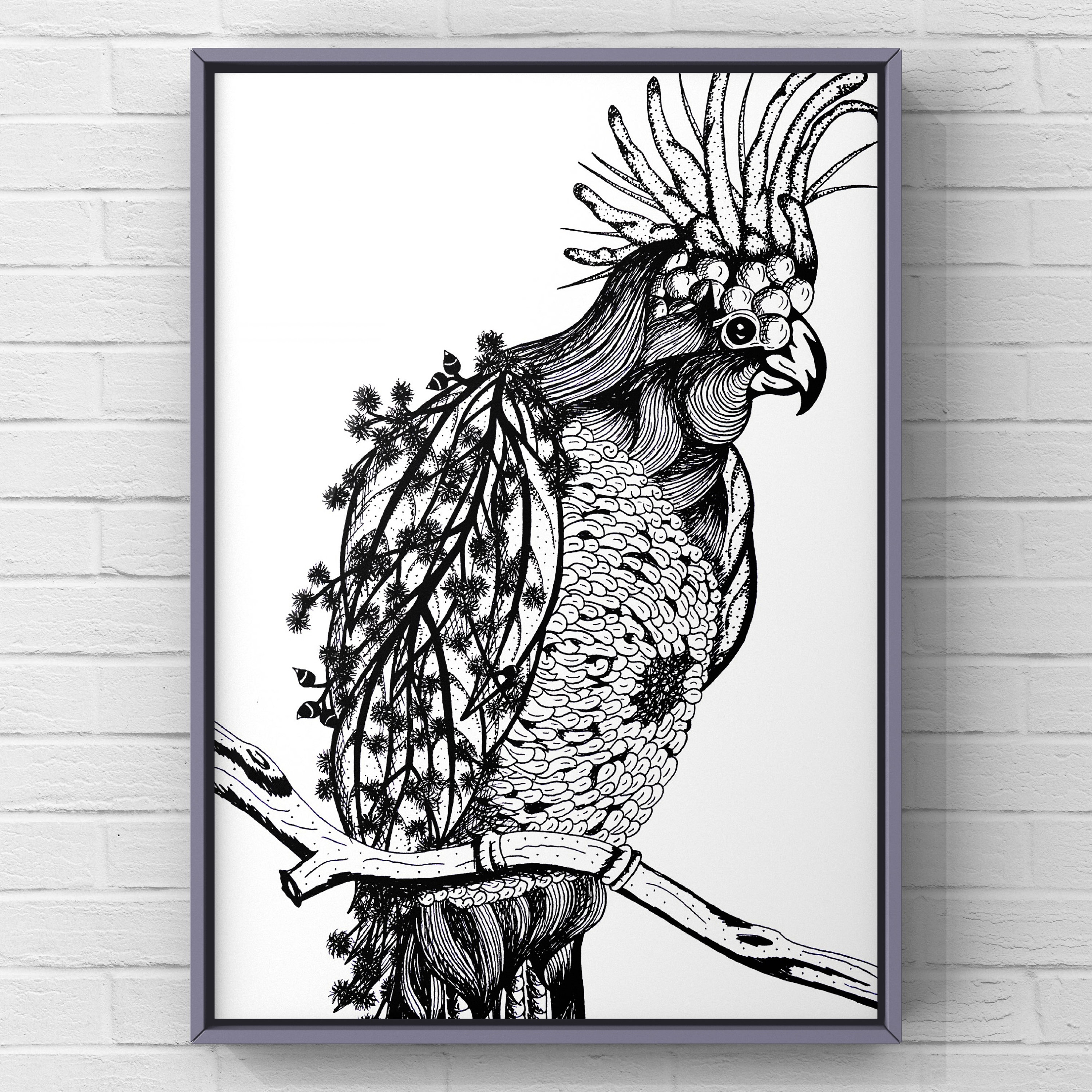 Geninne Zlatkis Australia