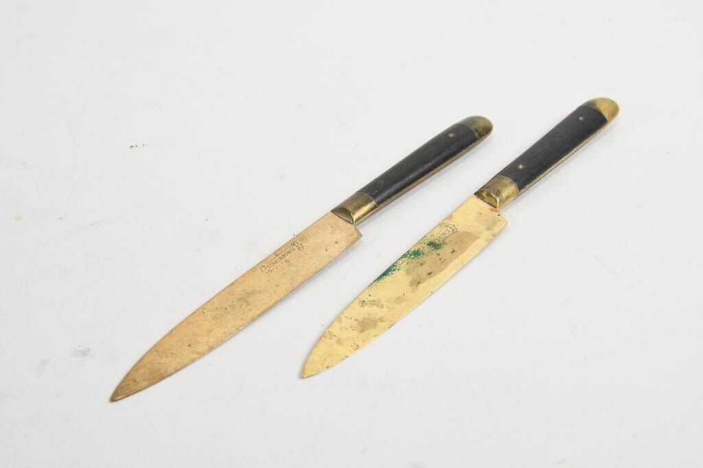 VINTAGE SET OF 12 STAHL-BRONCE FRUIT KNIVES GERMAN - 6 LONG ~ FAUX BONE  HANDLES