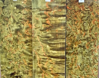 Stabilized and olive green dyed Karelian masur birch, known also as Finnish birch wood.