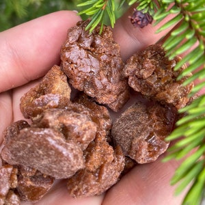 May include: Close-up of a hand holding several pieces of brown resin. The resin is irregularly shaped and has a rough, textured surface.