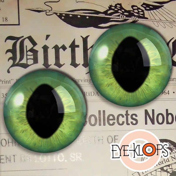 Green Cat Eyes - Realistic Glass Animal Taxidermy Craft Eyeballs Supply Set - 208