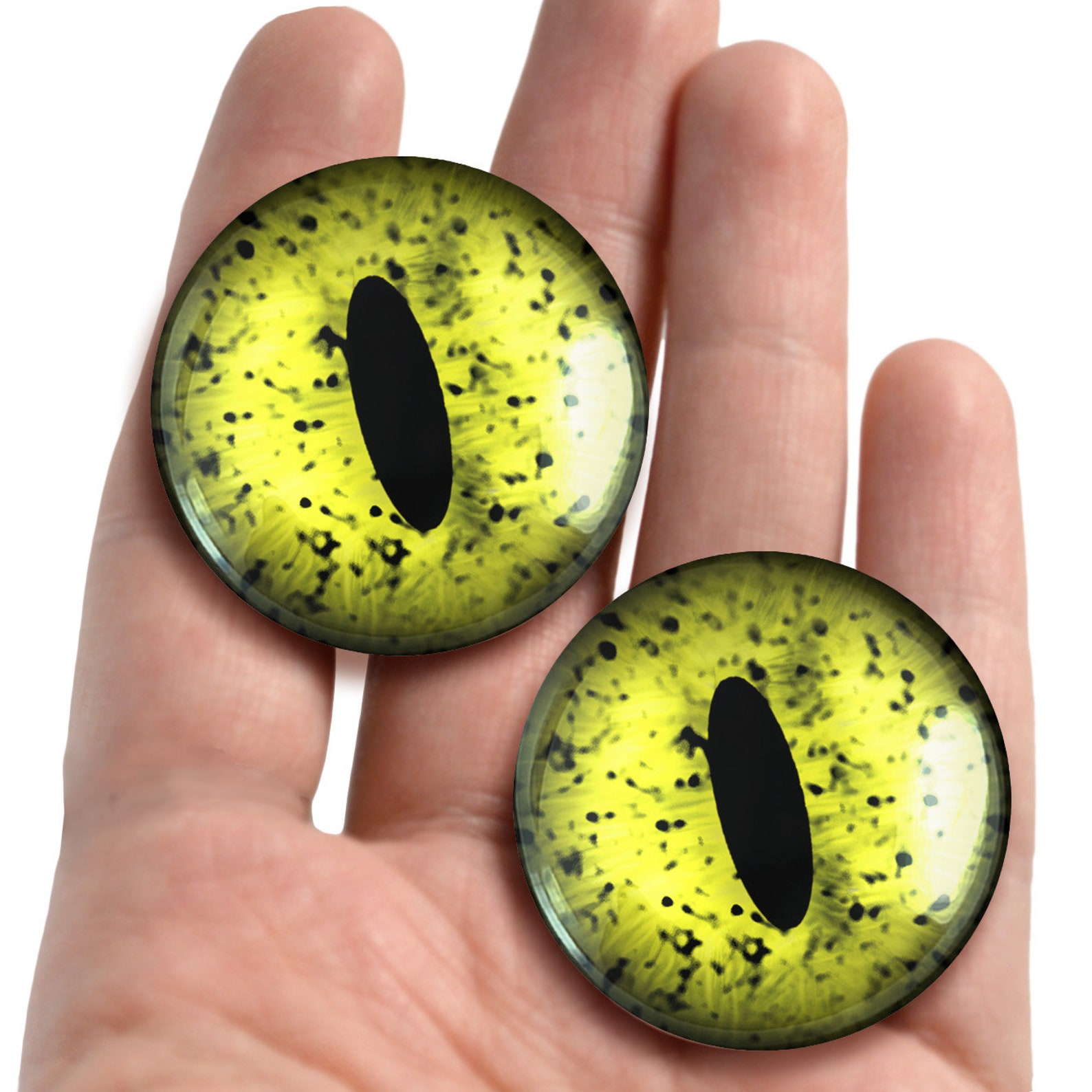 Green Speckled Frog Eyes Realistic Glass Animal Taxidermy Etsy