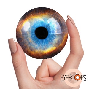 May include: A close-up of a blue and brown eye prop. The eye is round and has a black pupil. The eye is being held by a hand.