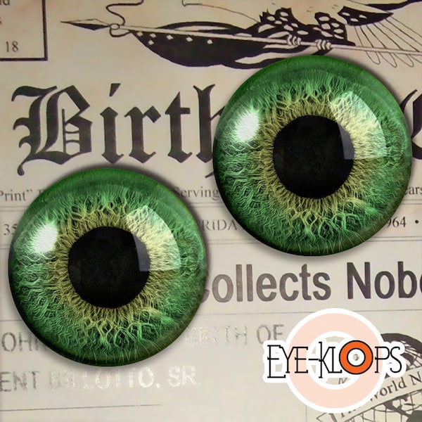 Forest Green Glass Eyes - PIXEL FREE - Realistic Macro Doll Taxidermy 2pc Set - 166