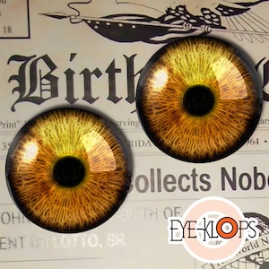 Pode incluir: Dois olhos de vidro redondos, castanhos e amarelos com pupilas pretas. Os olhos têm uma aparência texturizada e veia, que se assemelha a um olho humano.
