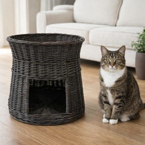 Handmade Two-Tier Wicker Pet Bed with Cave