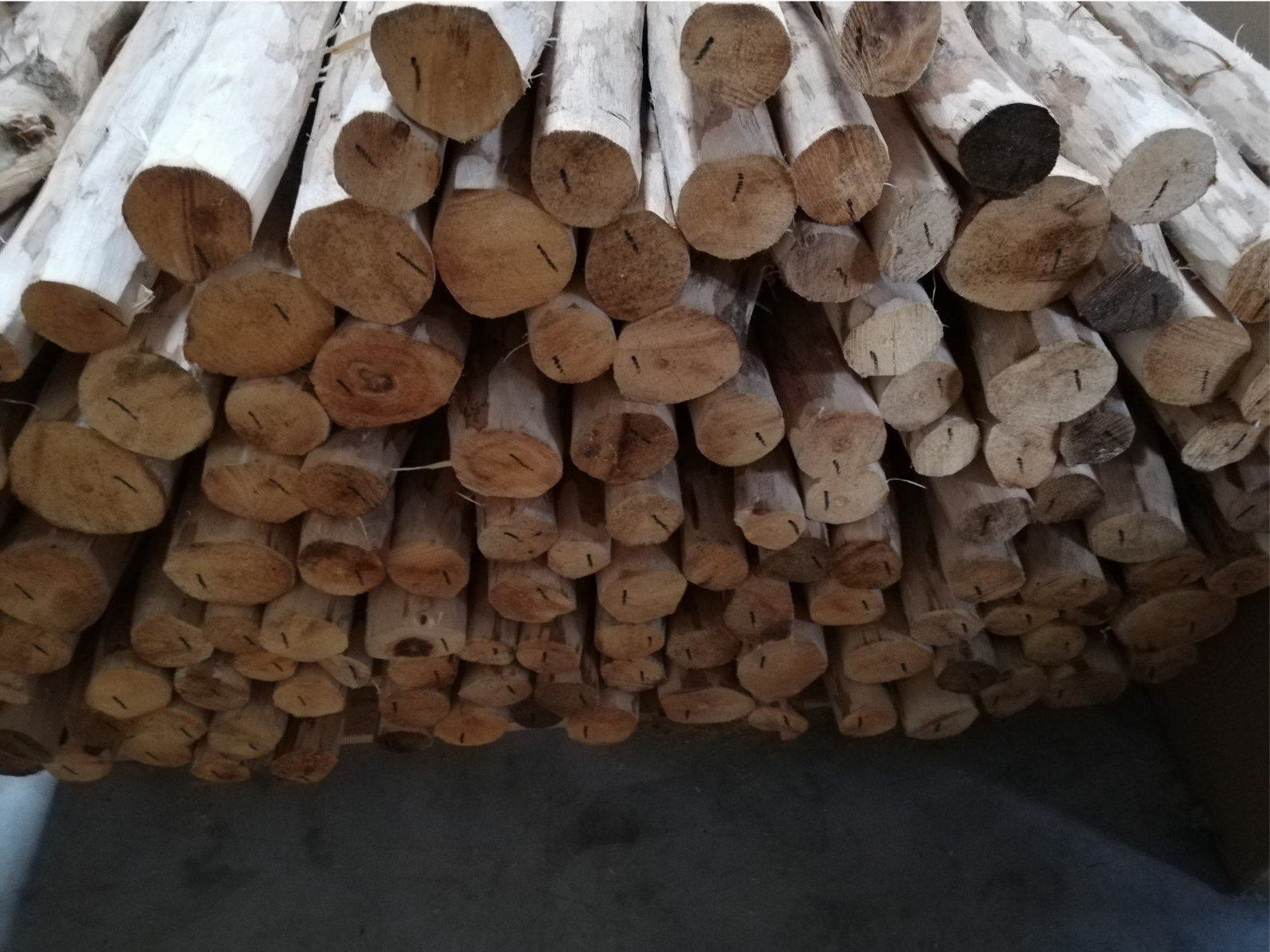 Sharpened Hazelnut Wood Fence Post: Natural Garden Border - Etsy