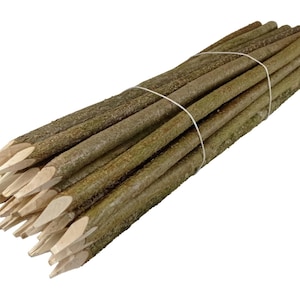 can you give a dog tobacco for worms can tobacco get rid of worms in dogs Alternatives to chemical de-wormers