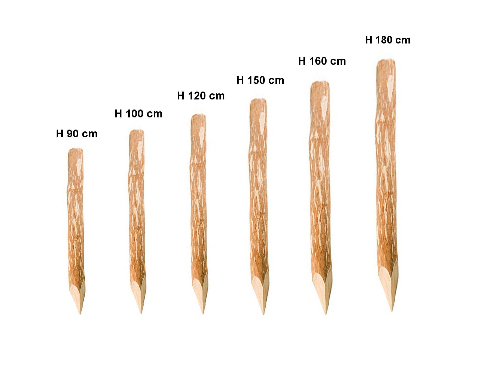 Sharpened Hazelnut Wood Fence Post: Natural Garden Border - Etsy