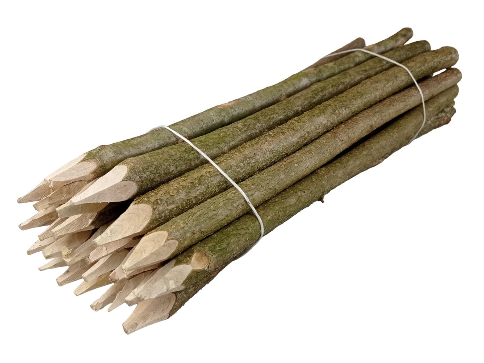 Walnut Posts Walnut Wood Garden Fence Posts: Natural Pointed Pegs (height 80cm 25 ...