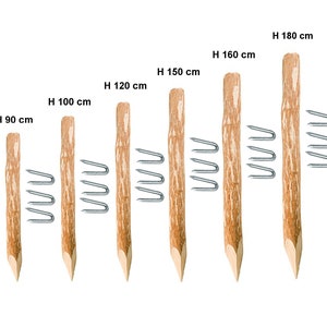 Sharpened Hazelnut Wood Fence Post: Natural Garden Border - Etsy