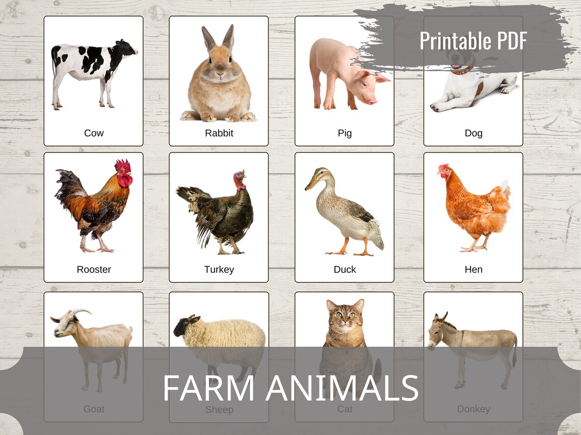 Montessori Printable Cards FARM ANIMALS Educational Etsy montessori-printable-cards-farm-animals-educational-etsy