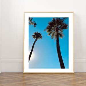 Palm Tree Print | Charleston Print | Printable Wall Art | South Carolina Photography Prints | Wall Art Prints | Downloadable Prints