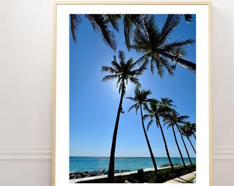Impresión fotográfica de Palm Beach: The Breakers, palmeras (descargable)
