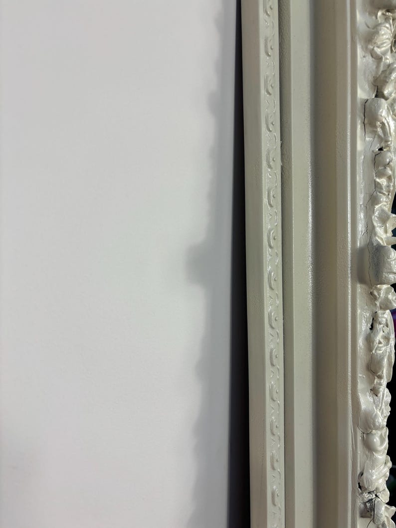 Pu&ograve; includere: Una cornice per foto bianca ornata con un bordo decorativo. La cornice &egrave; in legno e ha una finitura anticata.