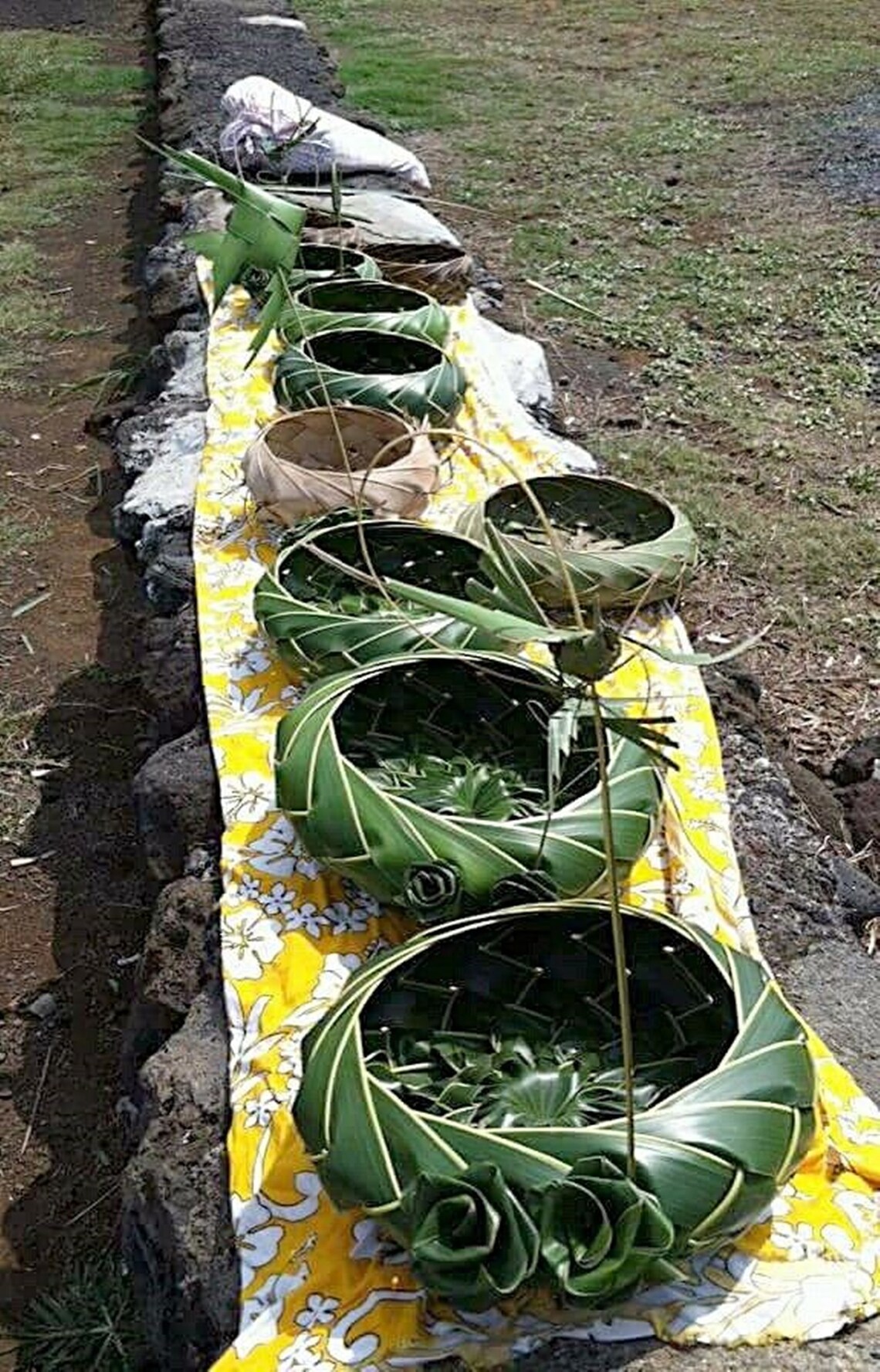 Fresh Hawaiian Made Hand Woven Coconut Palm Frond Baskets Etsy