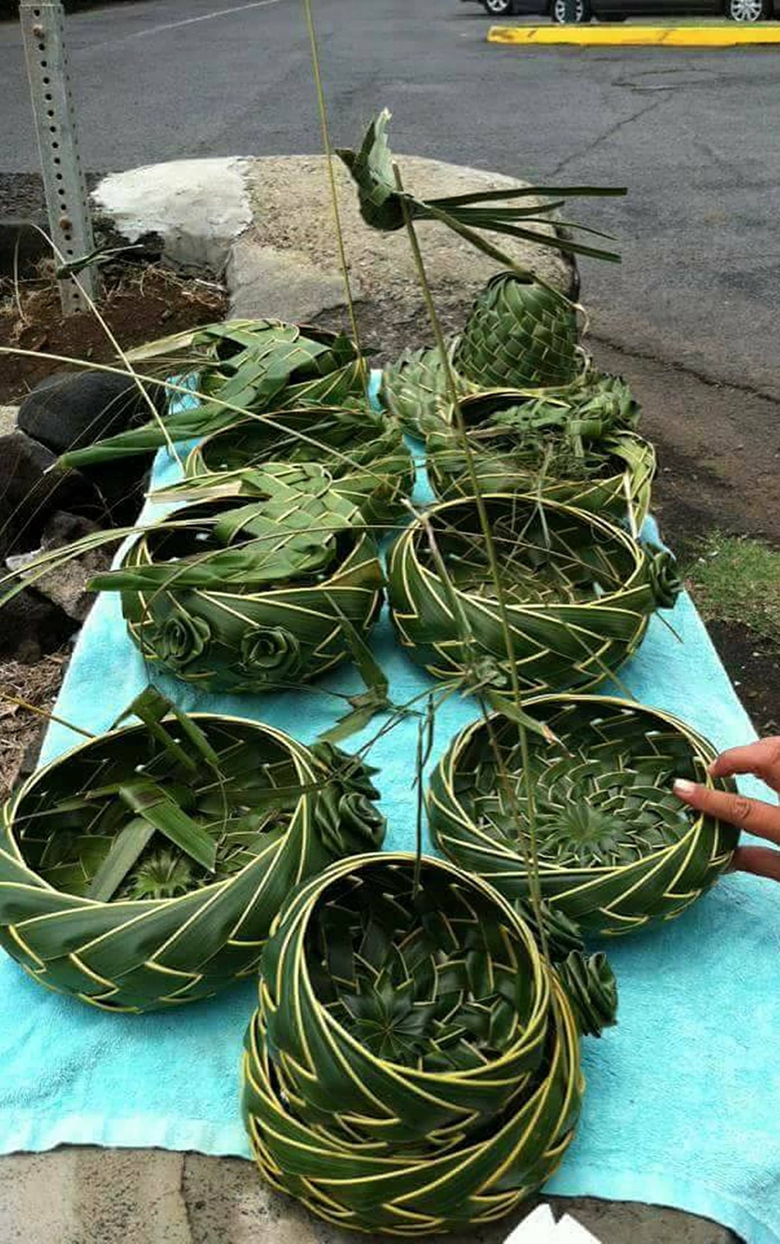 Fresh Hawaiian made Hand Woven Coconut Palm Frond Baskets Etsy