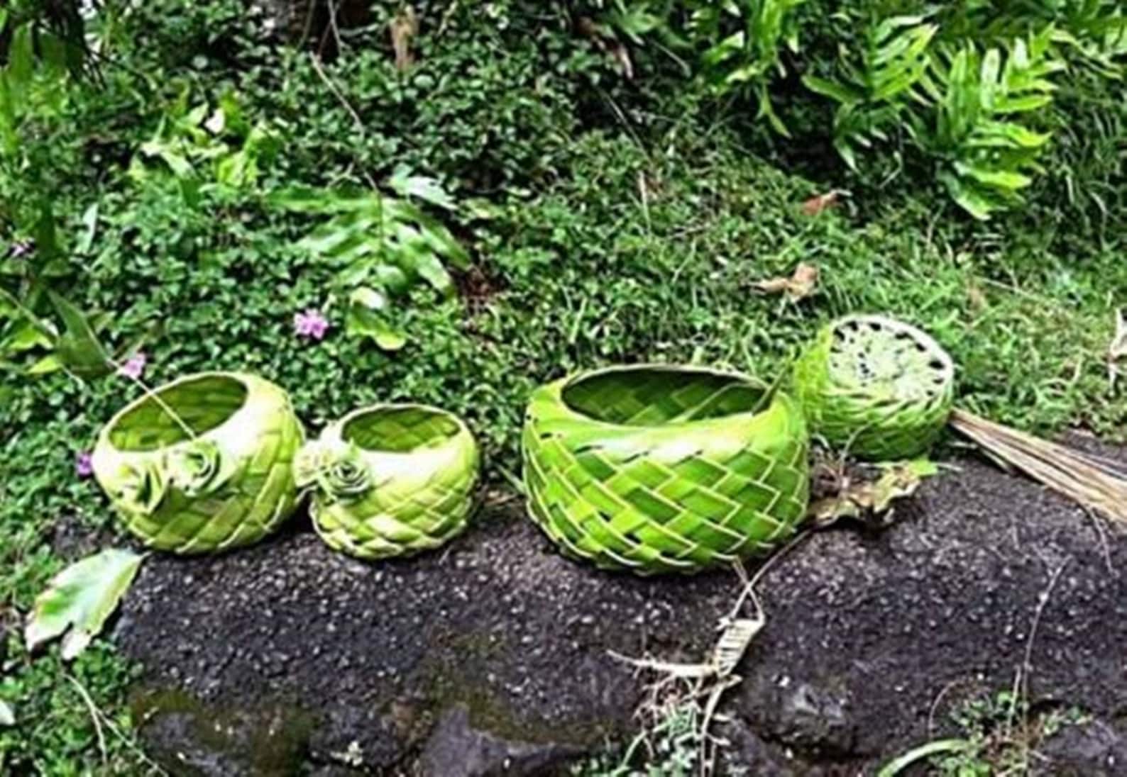 Fresh Hawaiian made Hand Woven Coconut Palm Frond Baskets Etsy