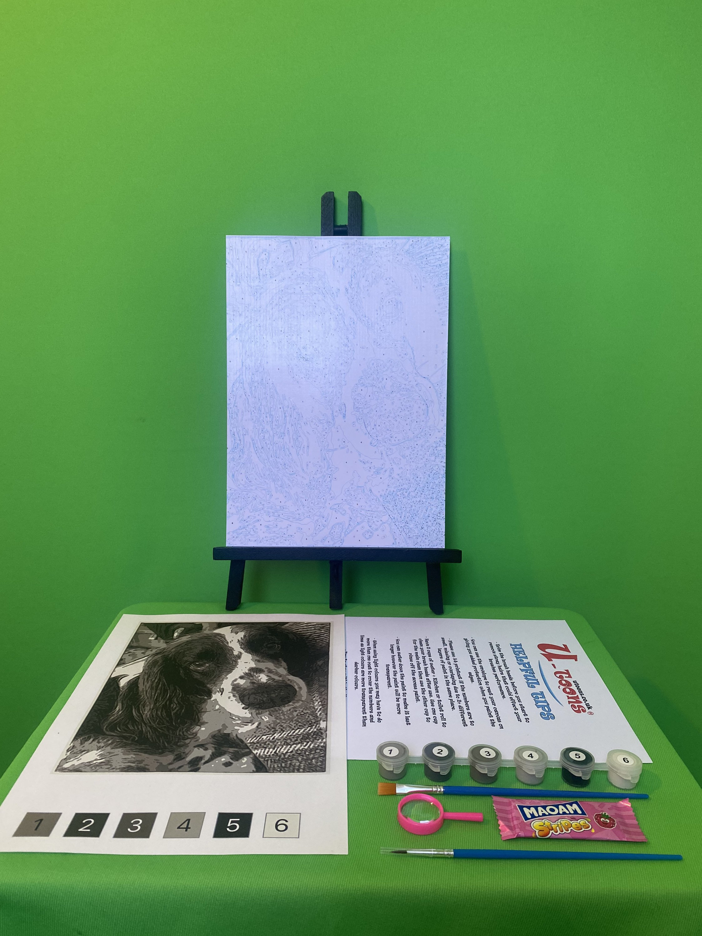 Personalised Paint By Numbers A4 abstract Etsy