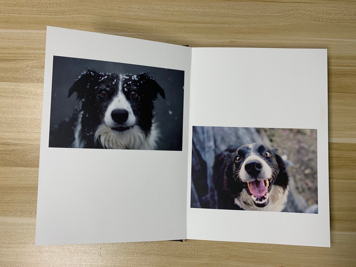 Personalized Pet Photo Book Dog/Cat Album Book Hardcover Etsy