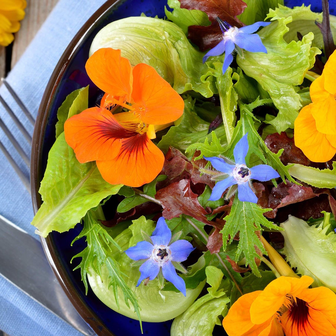 Edible flowers Chrysanthemum Garland Radish Sangria Etsy
