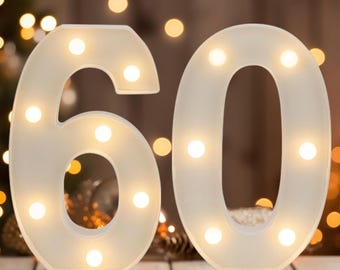 Light Up Number 60, Birthday Party Decor, Reusable Marquee Sign