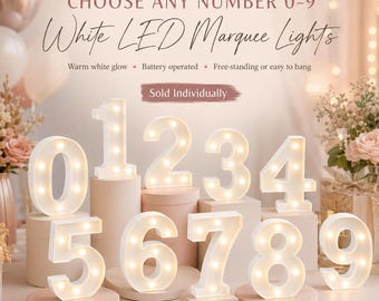 White LED Marquee Number Light, Party Birthday Anniversary Decor