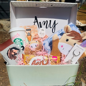 May include: A gift hamper containing a Starbucks coffee cup, horse-themed socks, plush toys, snacks, and a keychain. The box is pale green and has the name "Amy" on the lid. The contents are arranged on pink shredded paper.