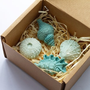 May include: A set of four teal and white seashell-shaped soaps in a brown cardboard box with wood shavings.