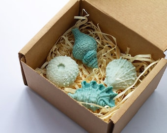 Scented Seashell Soap | Set of 5 | Shea Butter and Oatmeal | Perfect Gift