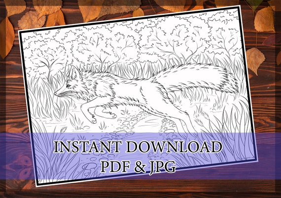 Fox cute coloring for kids and adults coloring in PDF and | Etsy