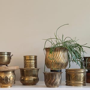 Belle jardinière en laiton vintage/choisissez une petite jardinière en laiton avec pot de plante en laiton patiné nouveau cadeau de maison pour pot en laiton vtg de pouce vert