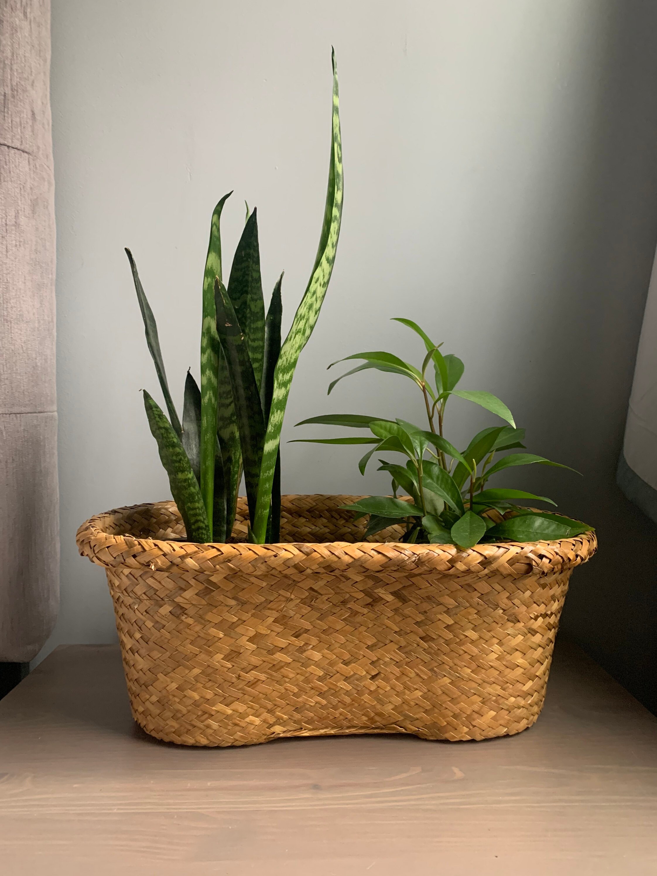 Double Planter Basket