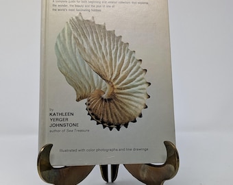 1970s Guide Book Collecting Seashells / Vtg Seashell Guide