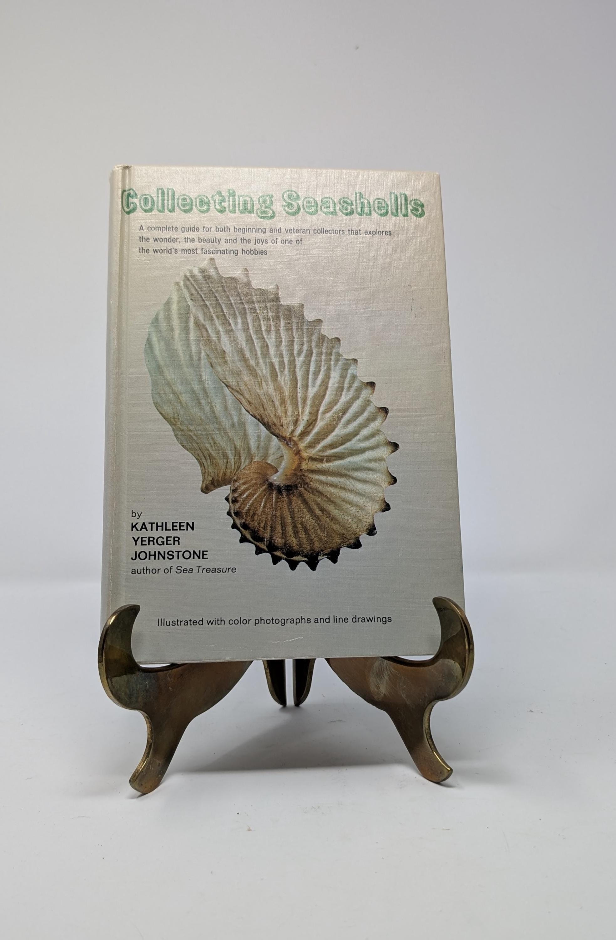 1970s Guide Book Collecting Seashells / Vtg Seashell Guide