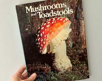 Vintage Copy Mushrooms and Toadstools book / vtg 70s mushroom book toadstool vtg book hikers gift for forager book mushie lover gift