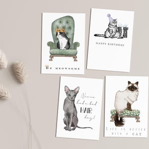 Conjunto de 4 postales, tarjetas de gato con frase gato, feliz cumpleaños