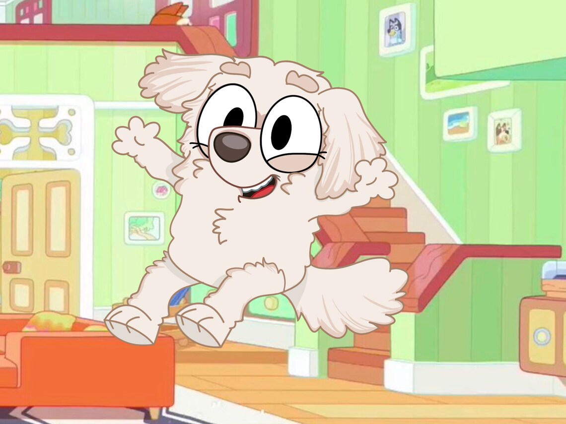 Are Dogs Allowed On Blueys Beach at Israel Mcgowan blog