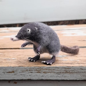 Desman needle felted, felt animal, felt desman, wychuchol, handmade ooak figure figurine wild animal, European animal, rare animal, rare