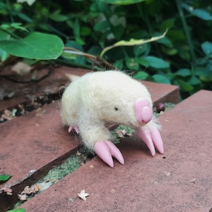 Needle Felted Marsupial Mole: Handmade Australian Animal Figurine