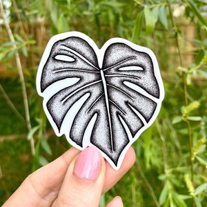 Monstera Leaf Sticker - Vinyl, Matte, Waterproof - Plant Nature Botanical - Trendy Decal for Notebooks, Laptops, Water bottles, Bujo, Phone