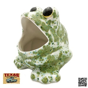 May include: Green and white ceramic frog with a large open mouth, designed to hold dish soap or sponges. The frog has black eyes and a speckled pattern.