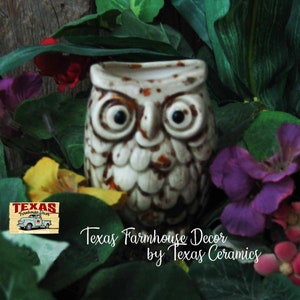 Owl Plant Tender, Water Feeder Spike for Indoor Potted Plants, Outdoor Container Gardens Earthtone Glaze by Texas Ceramics