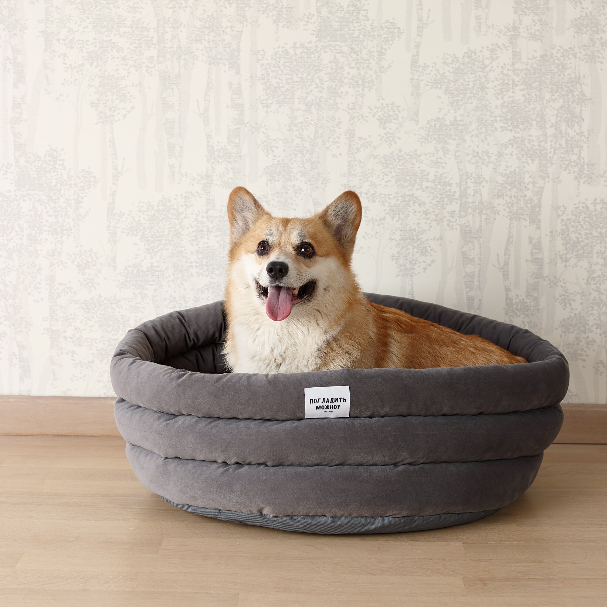 Basket Dog Bed With Removable Cover / Bright Dog Nest Gift Etsy UK
