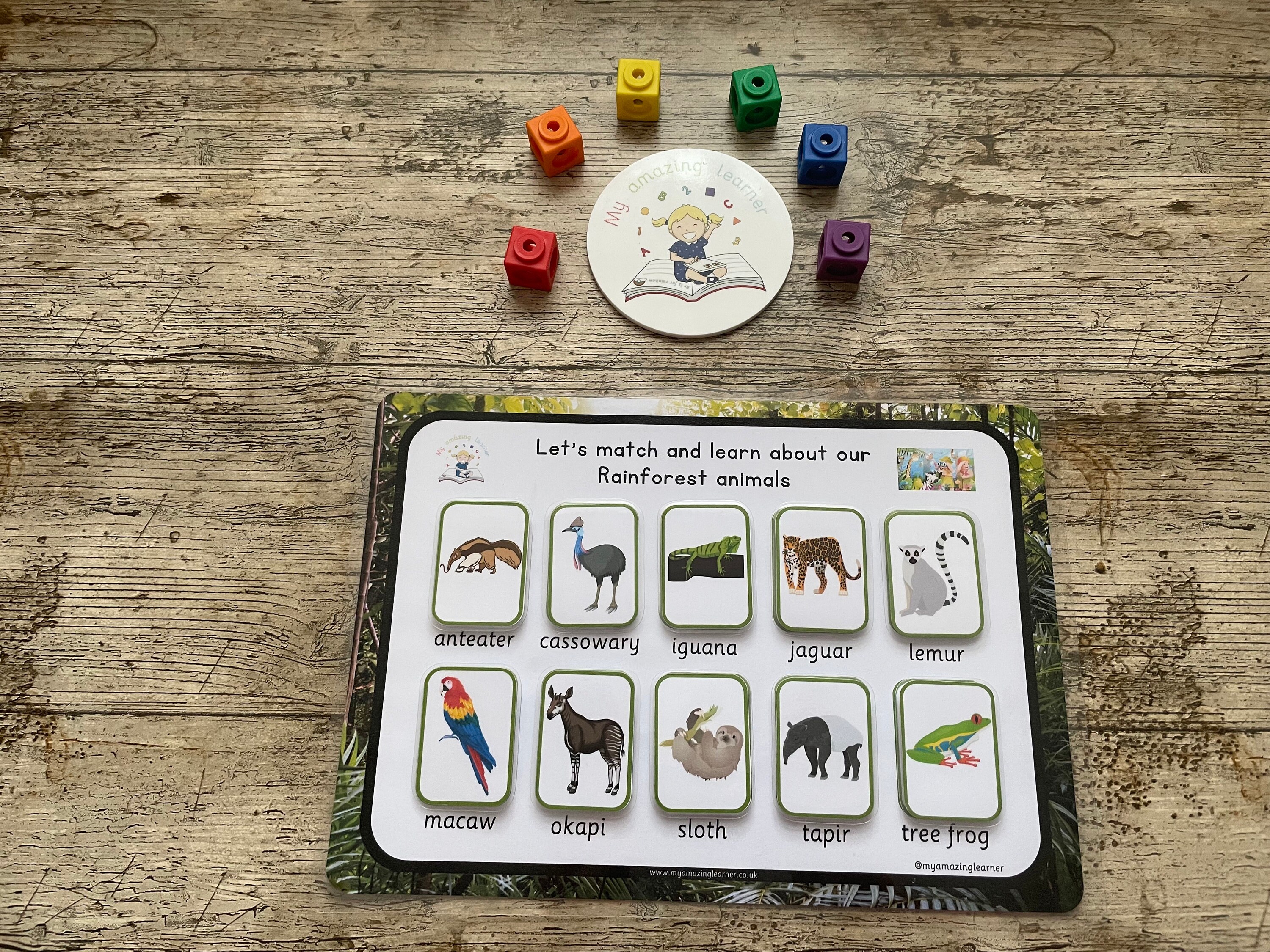 Rainforest Animals Activity Mat