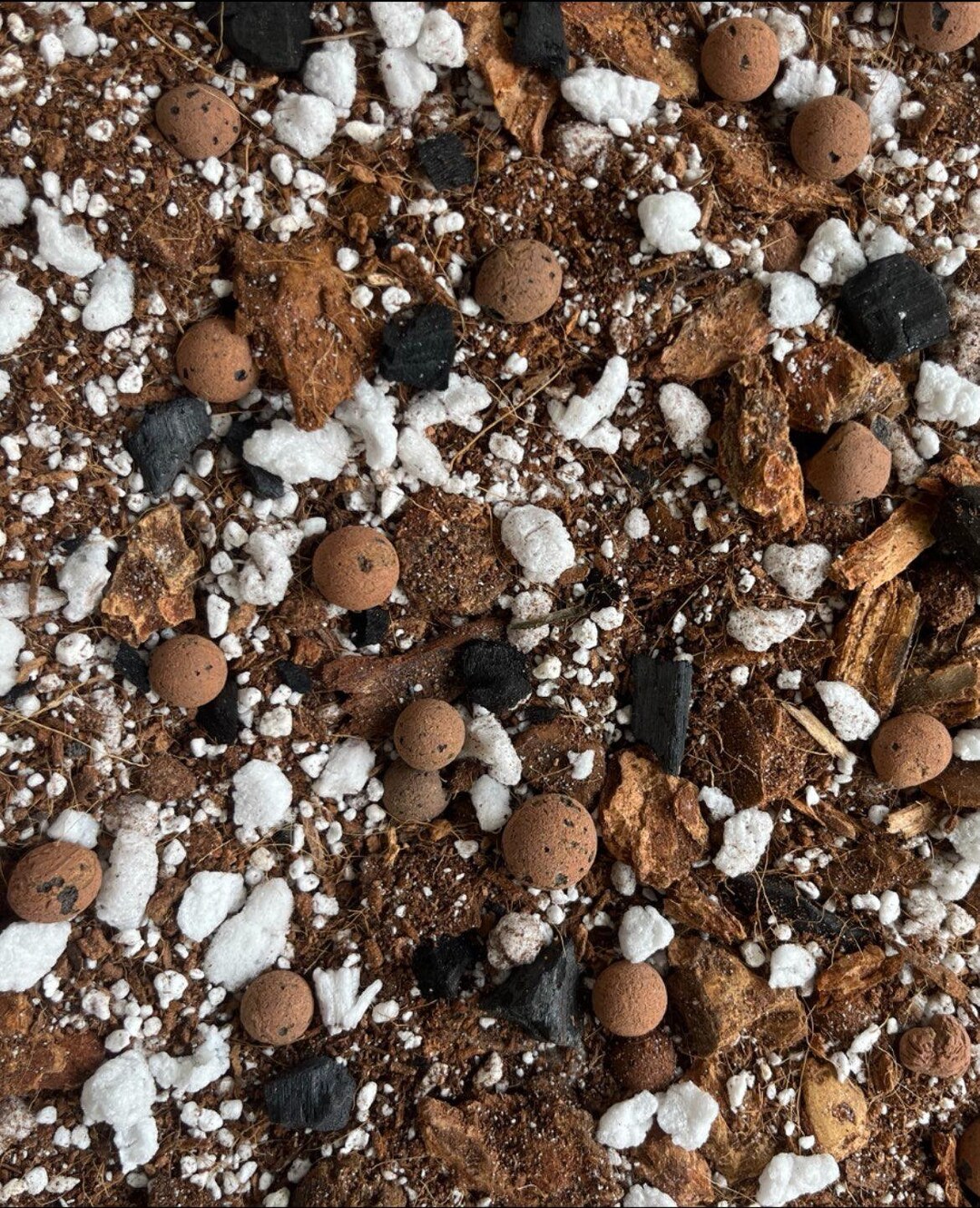 Tropical Aroid Mix With Leca Chunky Medium Mix Soilless Grow for ...