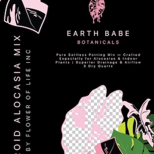 May include: Black background with pink and green stylized plant leaves. Text reads "Earth Babe Botanicals" and "Aroid Alocasia Mix." The product is a pure soilless potting mix crafted for Alocasias and indoor plants, with superior drainage and airflow, and contains 3 dry quarts.