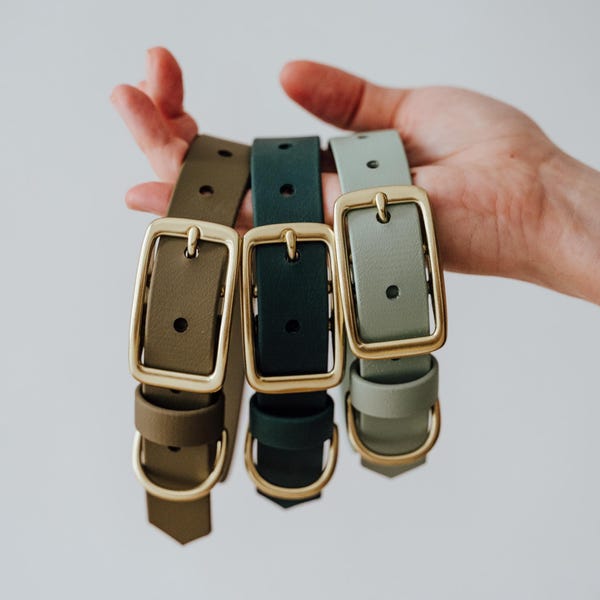 Collar impermeable Biothane para perros: Herrajes de latón macizo, hecho a mano.