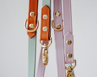Waterproof Dog Leash | Two-Tone | Biothane | Handmade | Brass Better than leather