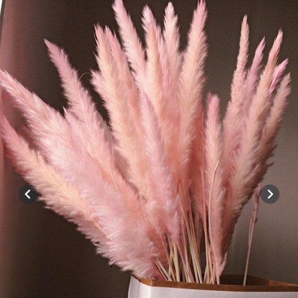 Pampas Grass Decor Etsy Canada